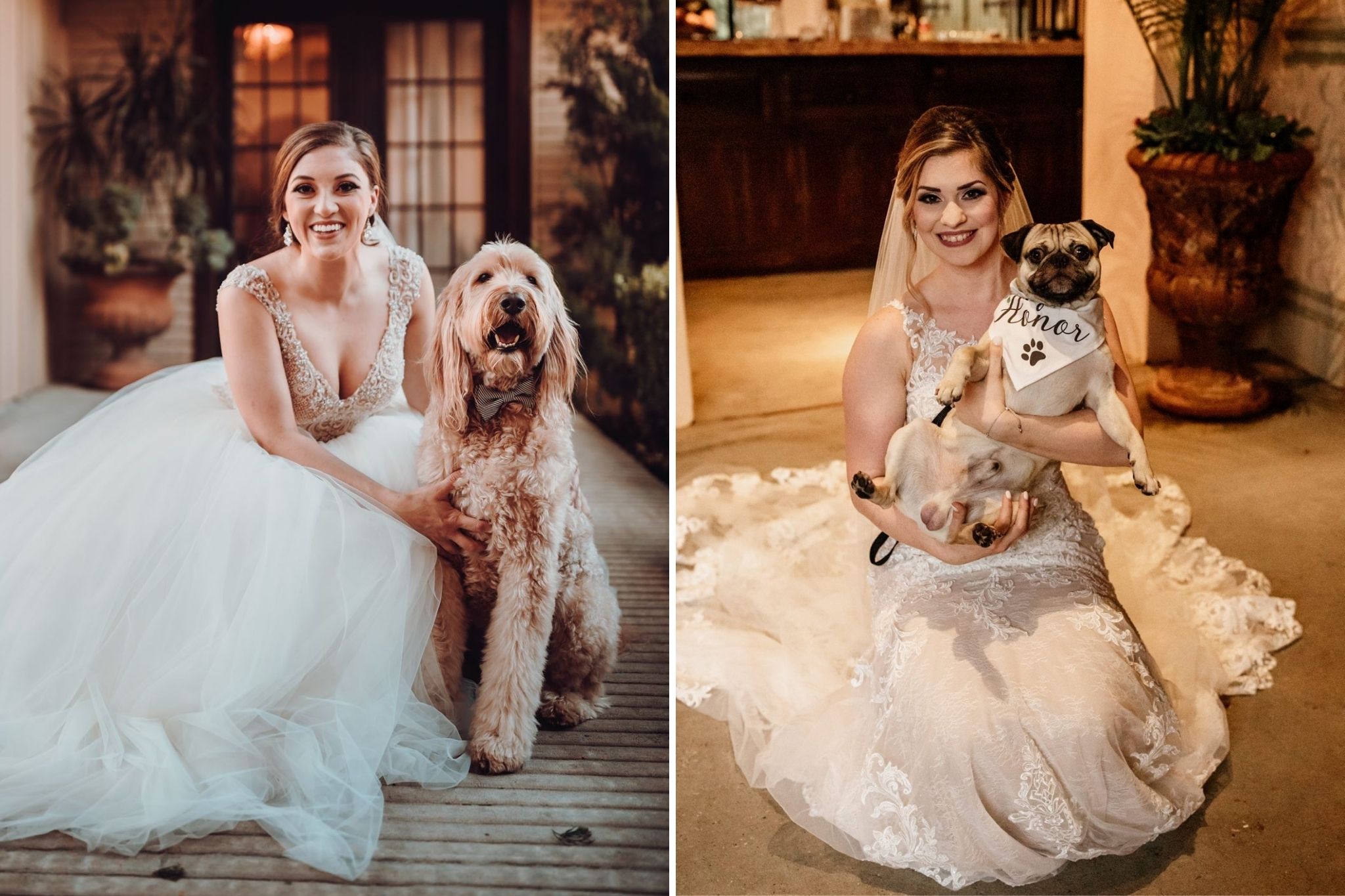Dogs: Incorporating Animals Into Your Wedding Day